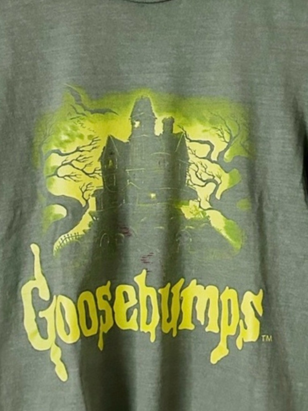 Goosebumps Cropped Graphic Tee - Picture 3 of 6
